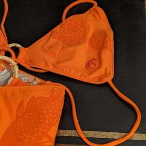 Aaron Chand Koi Bikini small
